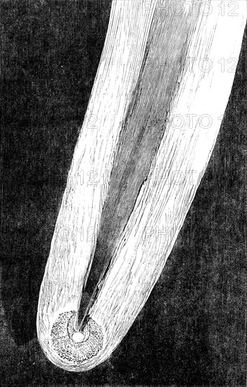 Telescopic Appearances of Donati's Comet, as seen from Slater's Observatory..., 1858. Creator: Unknown.