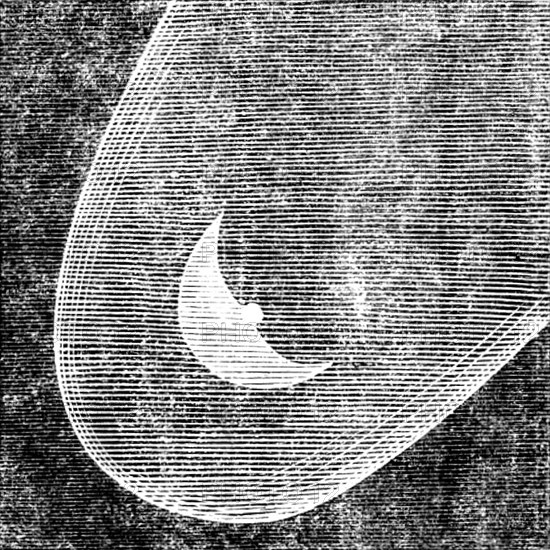 Telescopic Appearances of Donati's Comet, as seen from the Cambridge Observatory, Sept 27, 7pm, 1858 Creator: Unknown.