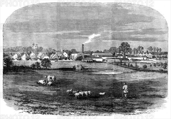 The Prince Consort's Model Farm at Osborne, 1858. Creator: Unknown.