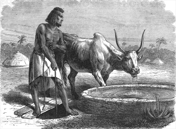 'Samhar peasant at a well; A journey through Soudan and Western Abyssinia..., 1875. Creator: Unknown.