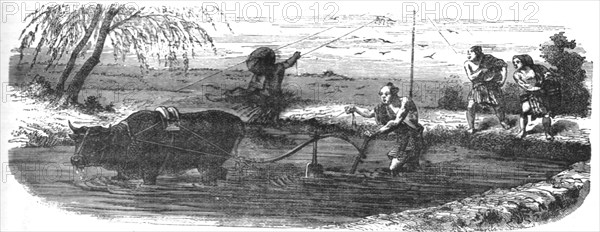 'Rice cultivation; A European Sojourn in Japan', 1875. Creator: Unknown.