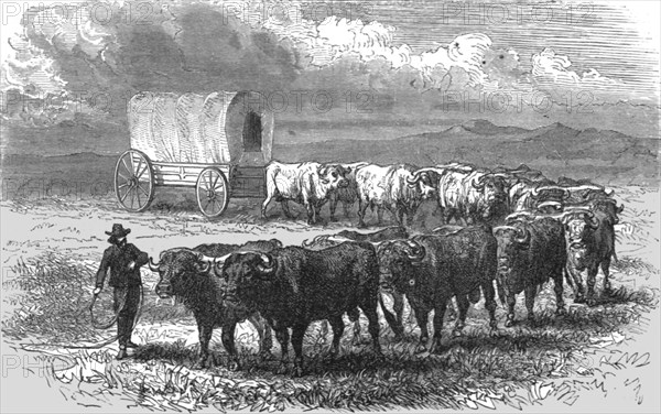 'The "Prairie Schooner". -- Emigrant wagon on the plains; Ocean to Ocean, the Pacific..., 1875. Creator: Frederick Whymper.