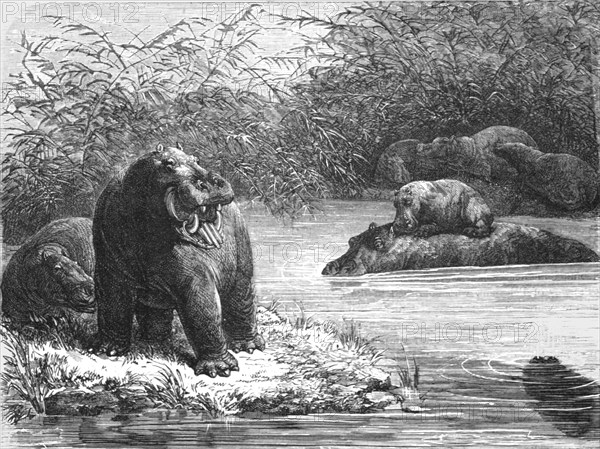 ''A quiet nook on the Chambeze river; The regions of the Cazembe', 1875. Creator: Unknown.