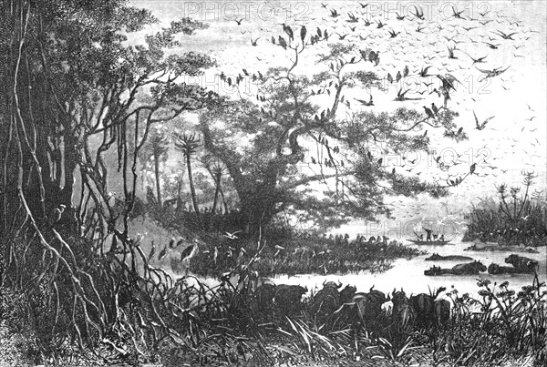 ''Lake scenery in Central Africa; The regions of the Cazembe', 1875. Creator: Unknown.