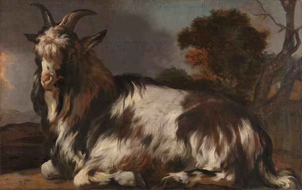 Goat Lying Down, 1645-1660. Creator: Jan Baptist Weenix.