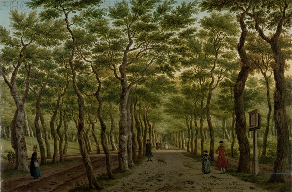 Footpath in the Haagse Bos, 1778. Creator: Paulus Constantijn la Fargue.