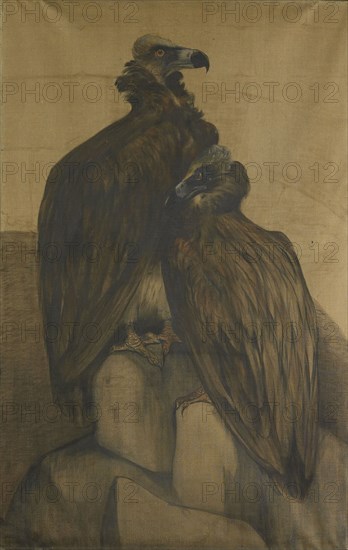 Two Arabian Vultures, 1885-1917. Creator: Theo van Hoytema.