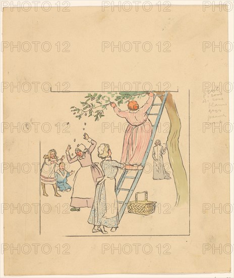 People picking plums, c.1880-c.1910.  Creator: Anon.