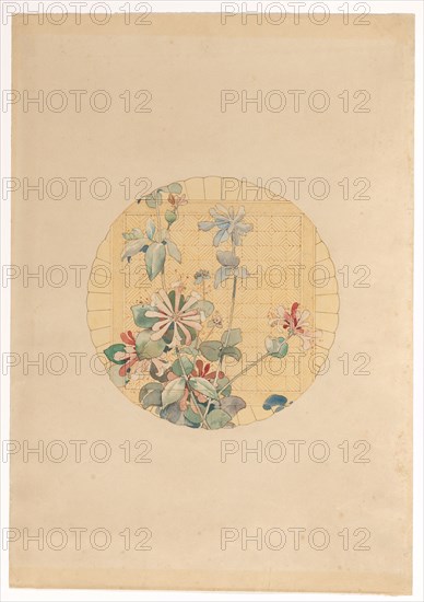 Design for the painting of motif for the manufacture Vieillard in Bordeaux, with honeysuckle, c.1875 Creator: Anon.