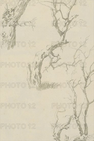 Trees and tree trunk, c.1780-c.1800. Creator: Bernhard Heinrich Thier.