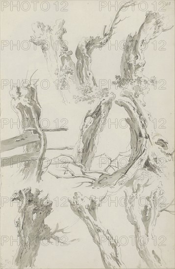 Sheet of sketches with pollarded willows, c.1780-c.1800. Creator: Bernhard Heinrich Thier.