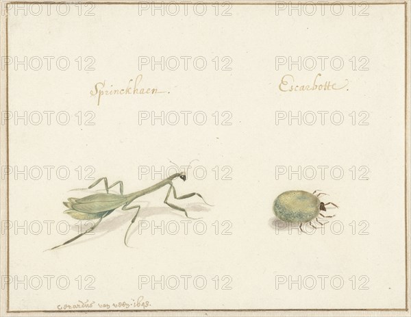 Two insects, 1643-1648. Creator: Gerardus van Veen.