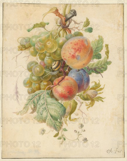 Fruit, 1677-1726. Creator: Herman Henstenburgh.