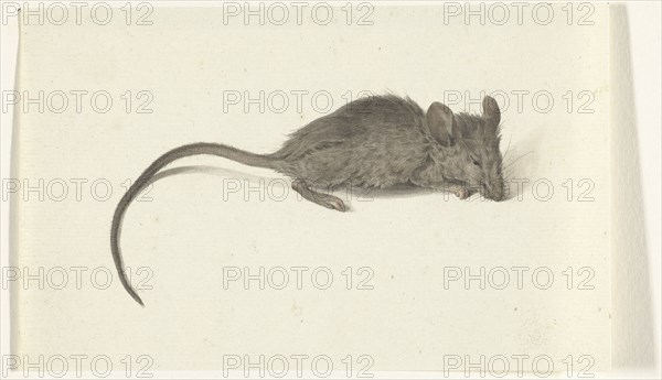 Mouse, to the right, 1775-1833. Creator: Jean Bernard.