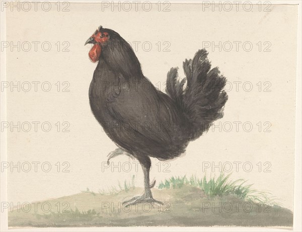 Standing black chicken, 1775-1833. Creator: Jean Bernard.