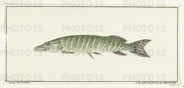 Pike, 1796. Creator: Jean Bernard.