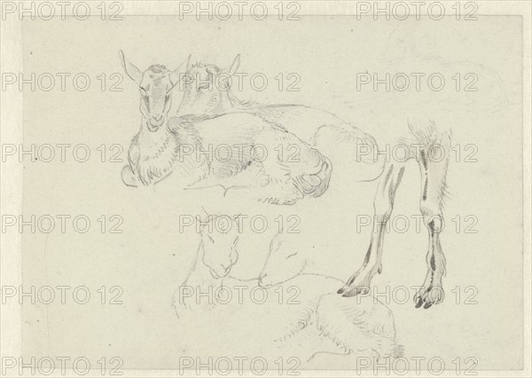 Studies of Goats, c.1809-c.1812. Creator: Josephus Augustus Knip.