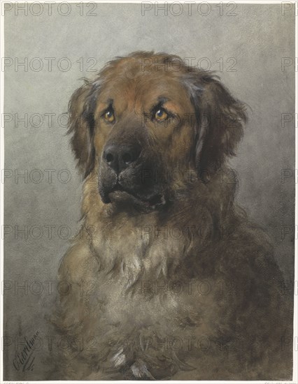 Head of a Leonberger, c.1880-c.1892. Creator: Otto Eerelman.