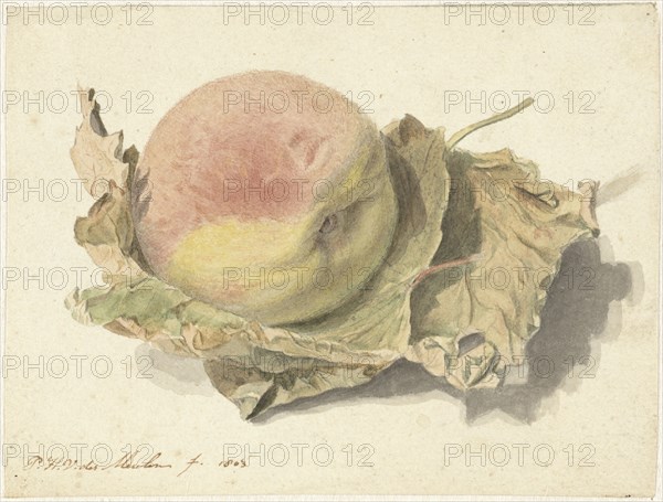 Peach on two leaves, 1803. Creator: Pieter van der Meulen.
