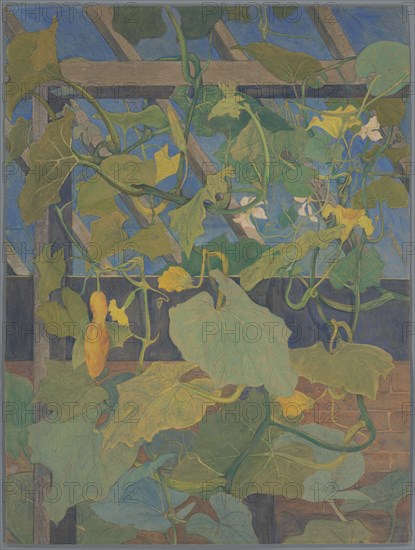 Greenhouse with ornamental gourd, 1897-1901.  Creator: Theo van Hoytema.