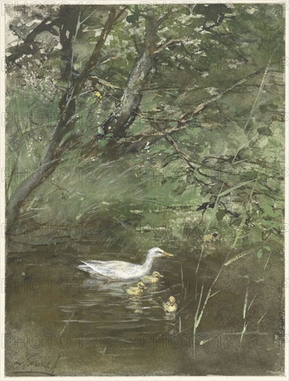 Ducks in the water, 1854-1892. Creator: Willem Maris.
