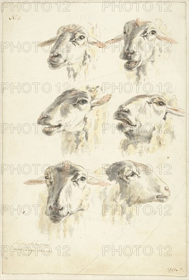 Six studies of sheep heads, 1800. Creator: Franciscus Andreas Milatz.