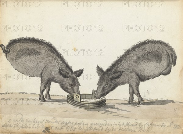 Pigs without hind legs at a trough, 1785. Creator: Jan Brandes.