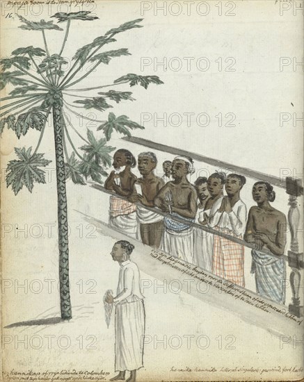 Papaya tree, litigants come to see the Dessave, and a 'hennikap' or free servant in Colombo, 1785. Creator: Jan Brandes.