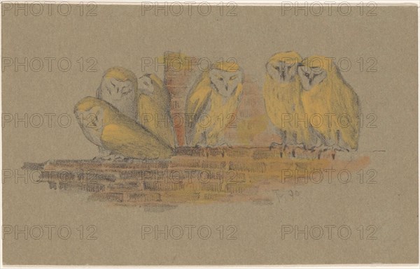 Greeting card with six owls, 1890. Creator: Theo van Hoytema.