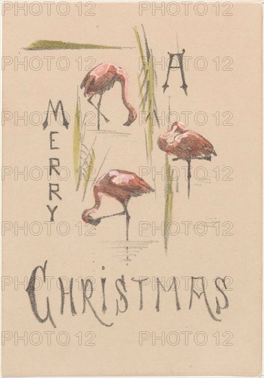 Christmas card with three flamingos, c.1878-c.1917. Creator: Theo van Hoytema.