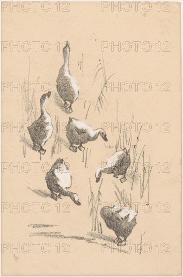 Greeting card with six geese, 1878-1917. Creator: Theo van Hoytema.