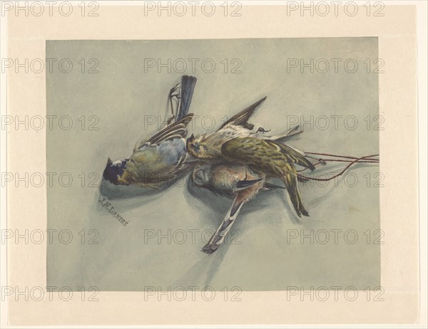 Still life with three dead birds, c.1800-c.1899. Creator: J.N. Landré.