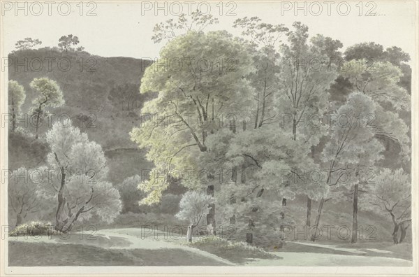 Trees in the Subiaco area, 1778-1847. Creator: Josephus Augustus Knip.