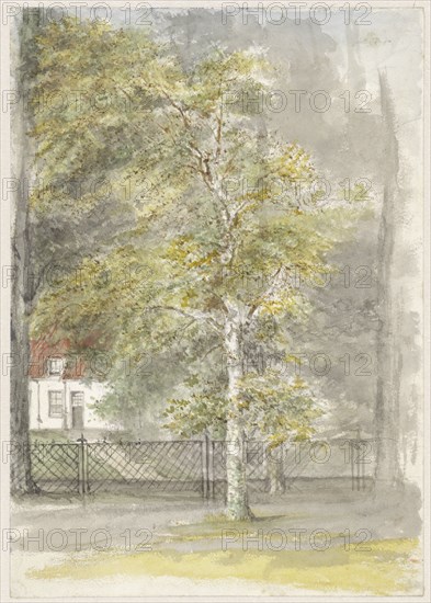 Tree in front of the fence of a country house, 1834-1911. Creator: Jozef Israels.