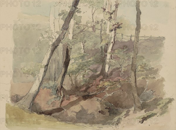Trees bordered by a fence on the Hoog Oorsprong estate, 1864-c.1865. Creator: Maria Vos.