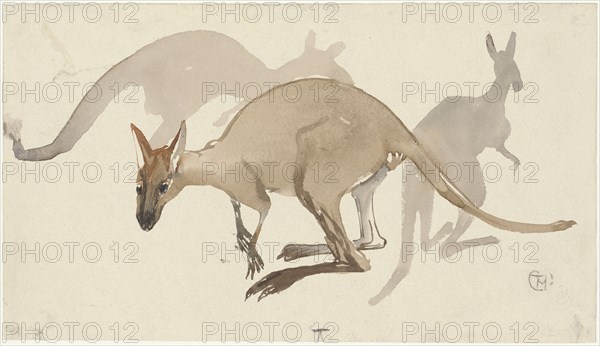 Kangaroos, 1873-1917. Creator: Theo van Hoytema.