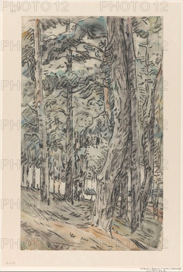 Forest landscape, 1873-1932. Creator: Willem Steenhoff.