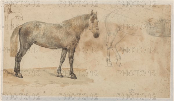 Studies of a horse, 1845-1926. Creator: Willem Carel Nakken.