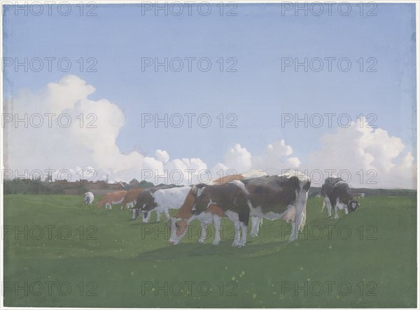 Grazing cows in a meadow, c. 1800-c. 1900. Creator: Jan Voerman I.