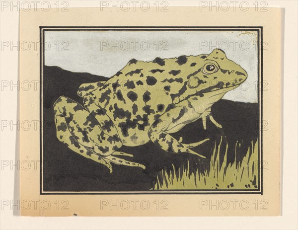 Frog, 1887-1924. Creator: Julie de Graag.