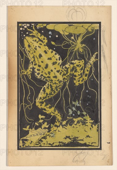 Frog in the water, 1887-1924. Creator: Julie de Graag.