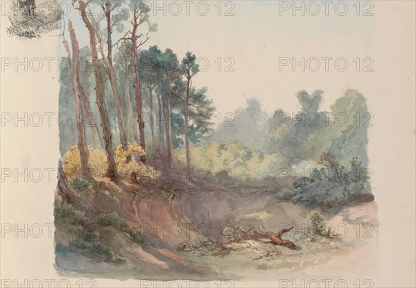 Quarry near the Hemelschen Berg in Oosterbeek, 1864-c. 1865. Creator: Maria Vos.