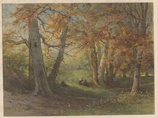 Forest view near Oosterbeek, 1834-1906. Creator: Maria Vos.