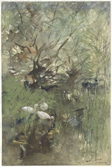 Ducks under willows, 1844-1910. Creator: Willem Maris.