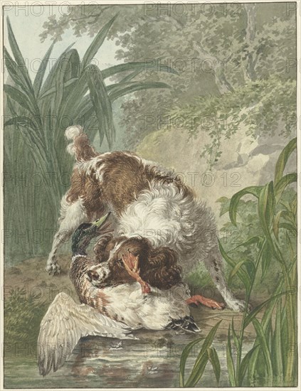 Hunting dog catches a duck, 1754-1831. Creator: Wybrand Hendriks.