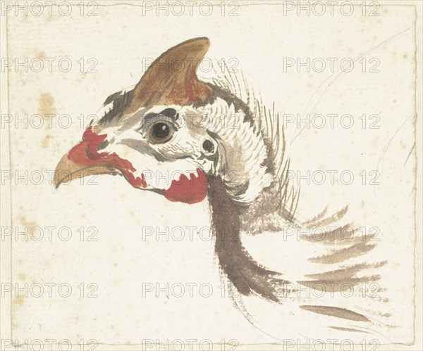 Head of a Helmeted Guineafowl, 1720-1792. Creator: Aert Schouman.