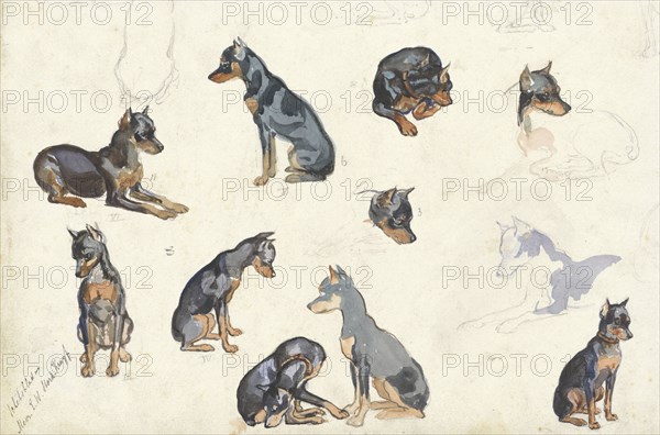 Studies of a dog, 1880-1946. Creator: Anna Maria Kruijff.