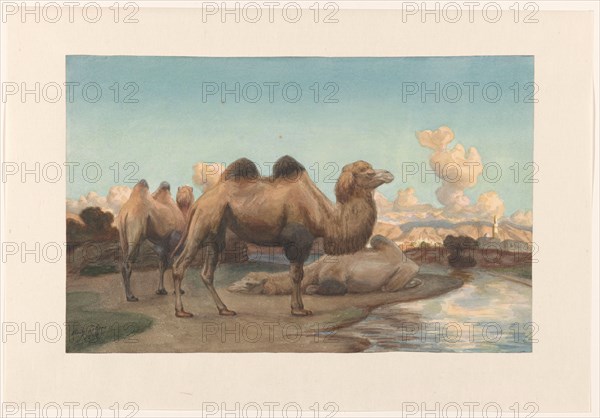 Camels in a landscape, 1884. Creator: August Le Gras.