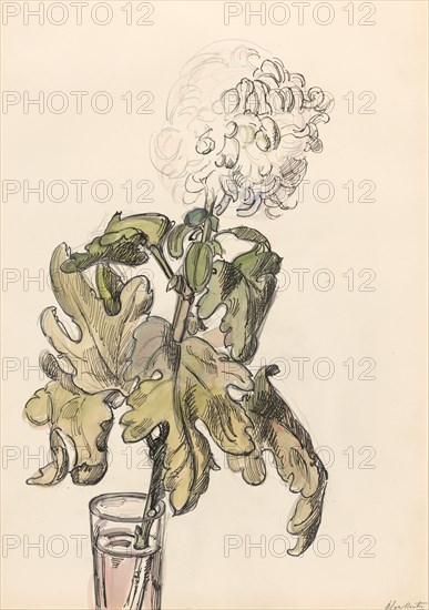 Flowering chrysanthemum, in a vase, 1872-1950. Creator: Barbara Elisabeth van Houten.