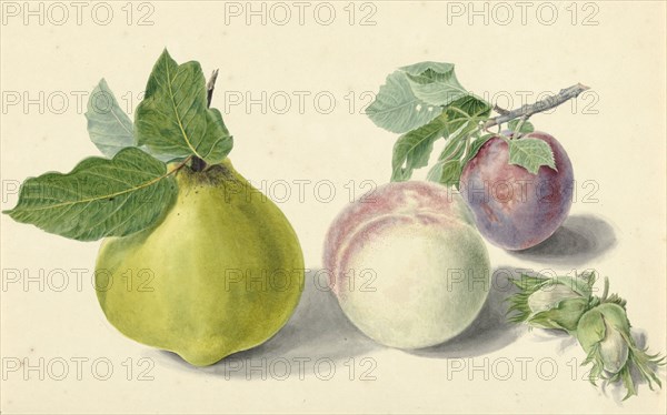 A pear, peach, plum and nuts, 1818-1853. Creator: Elisabeth Geertruida van de Kasteele.